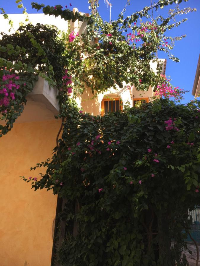 Casa Arborea Orosei Exteriör bild